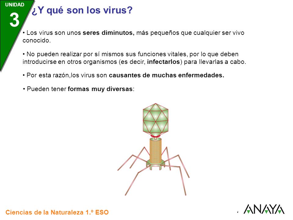 • Los virus son unos seres diminutos, más pequeños que cualquier ser vivo conocido.