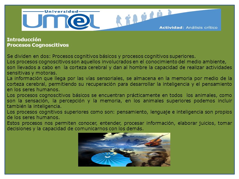Introducción Procesos Cognoscitivos. Se dividen en dos: Procesos cognitivos básicos y procesos cognitivos superiores.