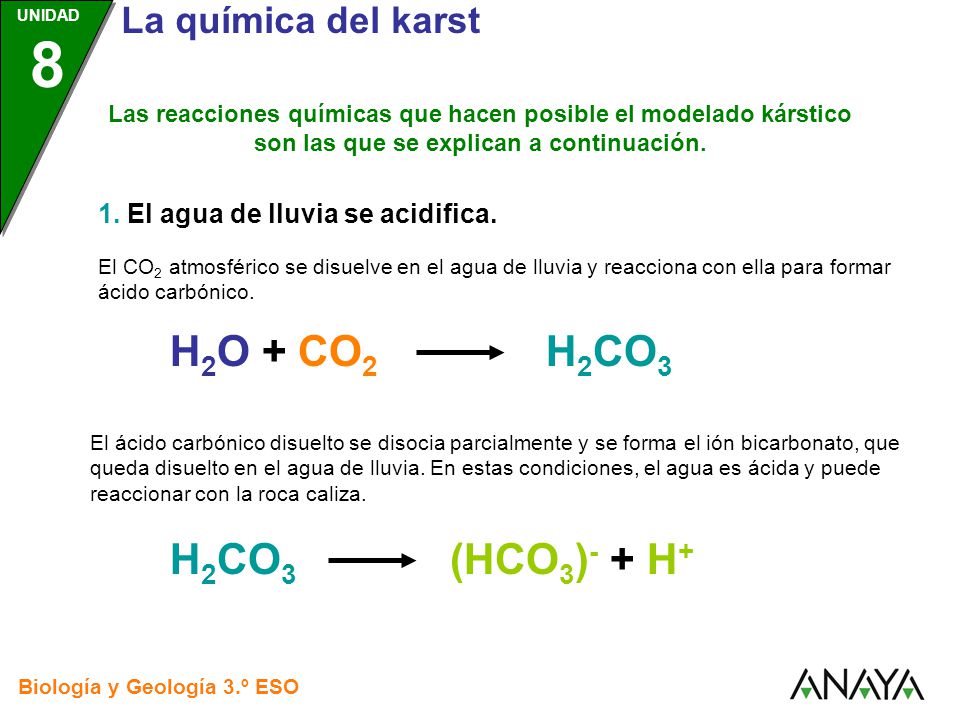 H2O + CO2 H2CO3 H2CO3 (HCO3)- + H+ 1. El agua de lluvia se acidifica.