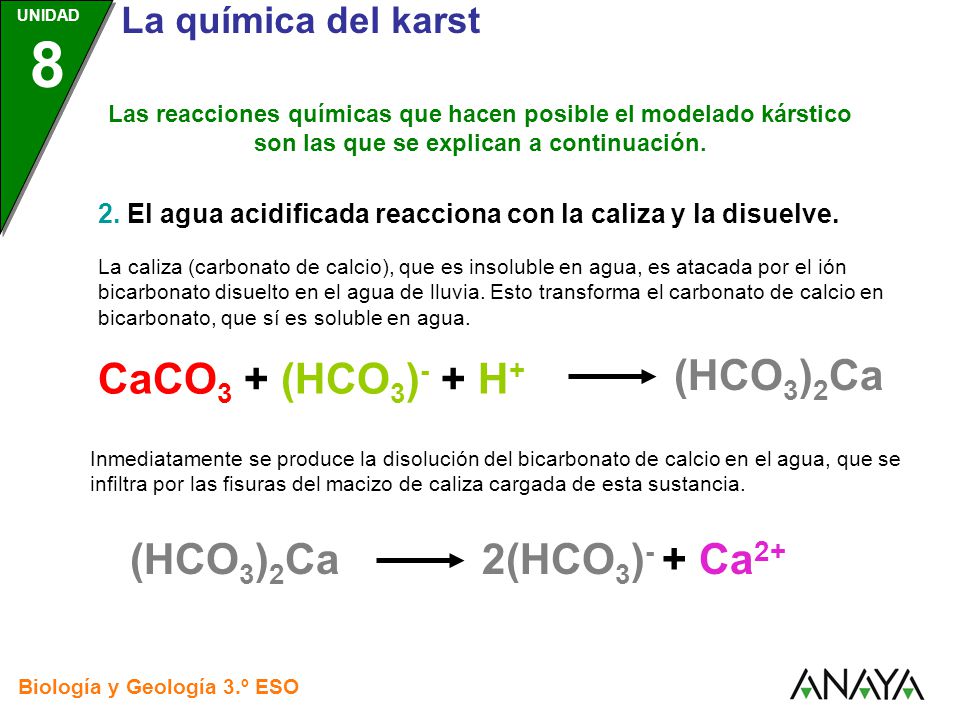 CaCO3 + (HCO3)- + H+ (HCO3)2Ca (HCO3)2Ca 2(HCO3)- + Ca2+
