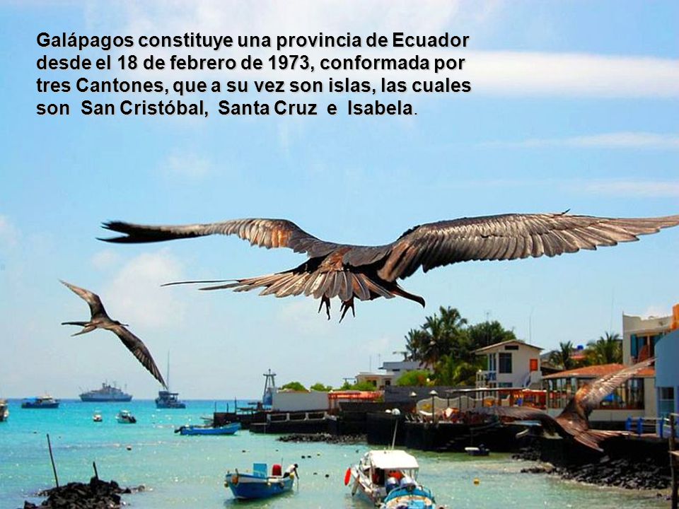 Galápagos constituye una provincia de Ecuador desde el 18 de febrero de 1973, conformada por tres Cantones, que a su vez son islas, las cuales son San Cristóbal, Santa Cruz e Isabela.