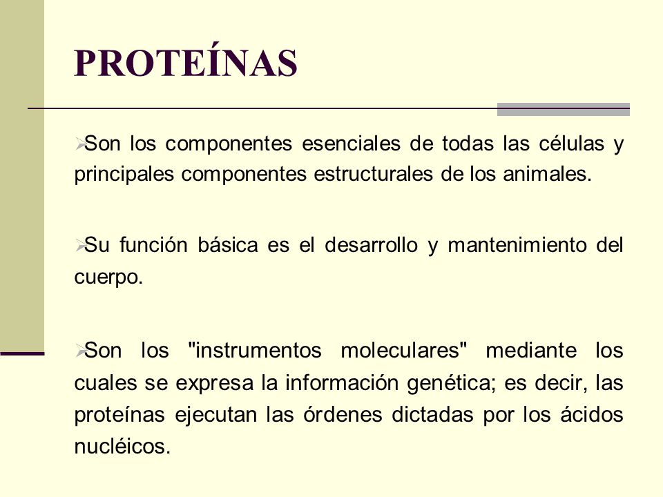 PROTEÍNAS Son los componentes esenciales de todas las células y principales componentes estructurales de los animales.