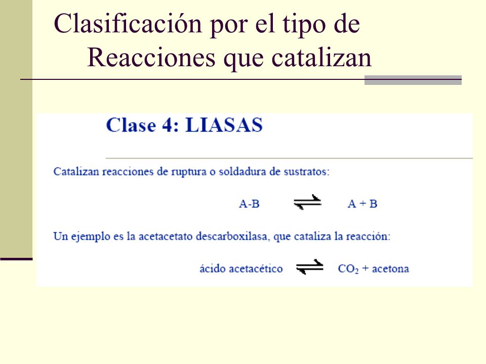 Clasificación por el tipo de Reacciones que catalizan