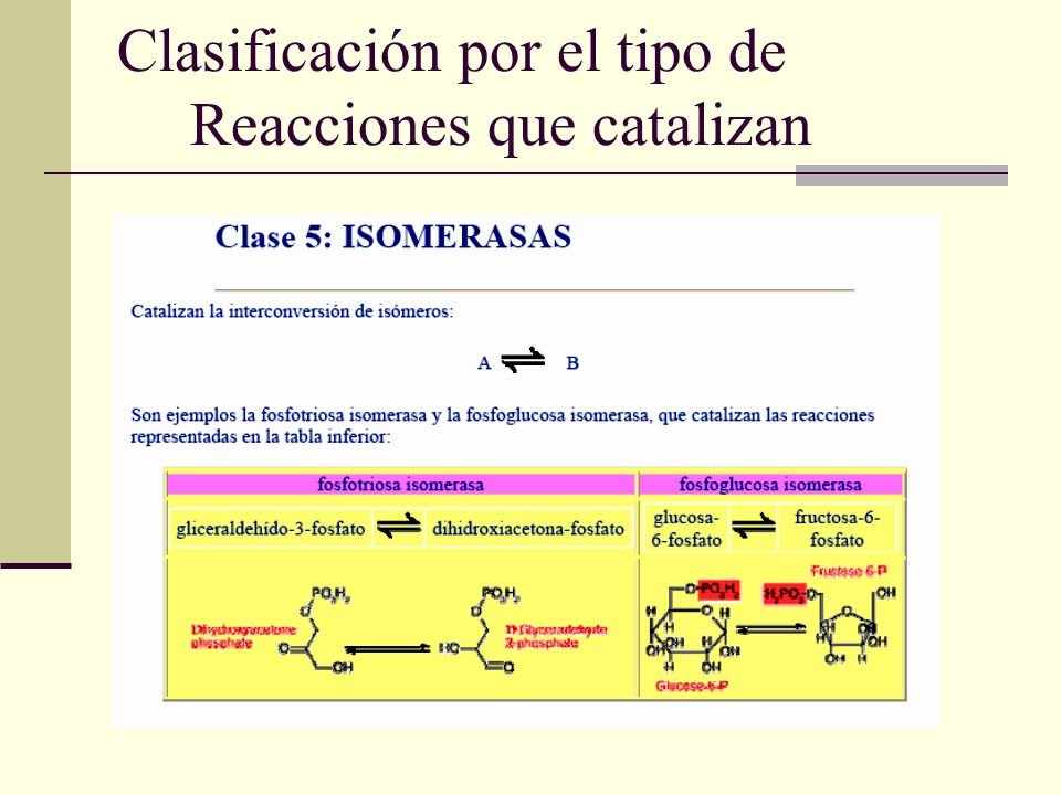 Clasificación por el tipo de Reacciones que catalizan