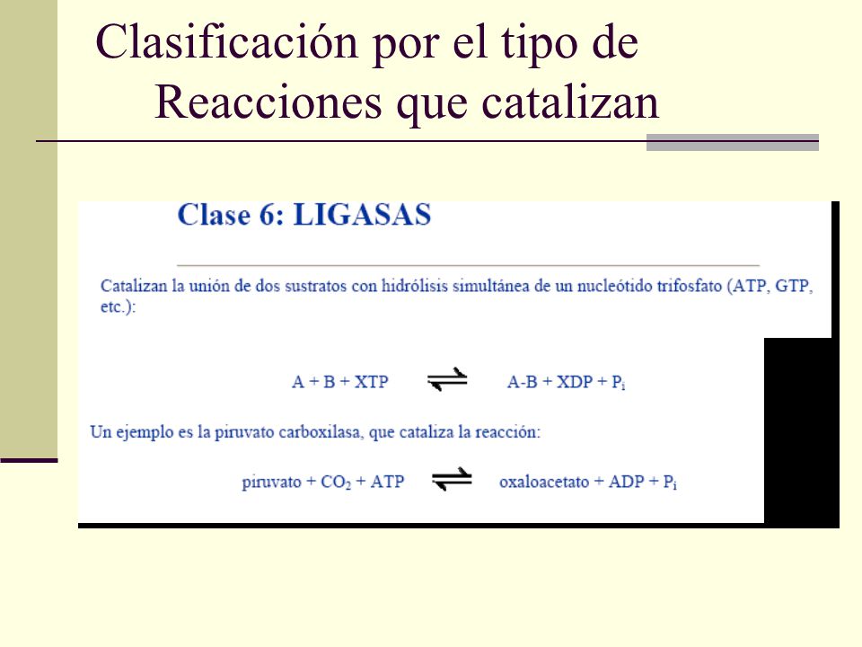Clasificación por el tipo de Reacciones que catalizan