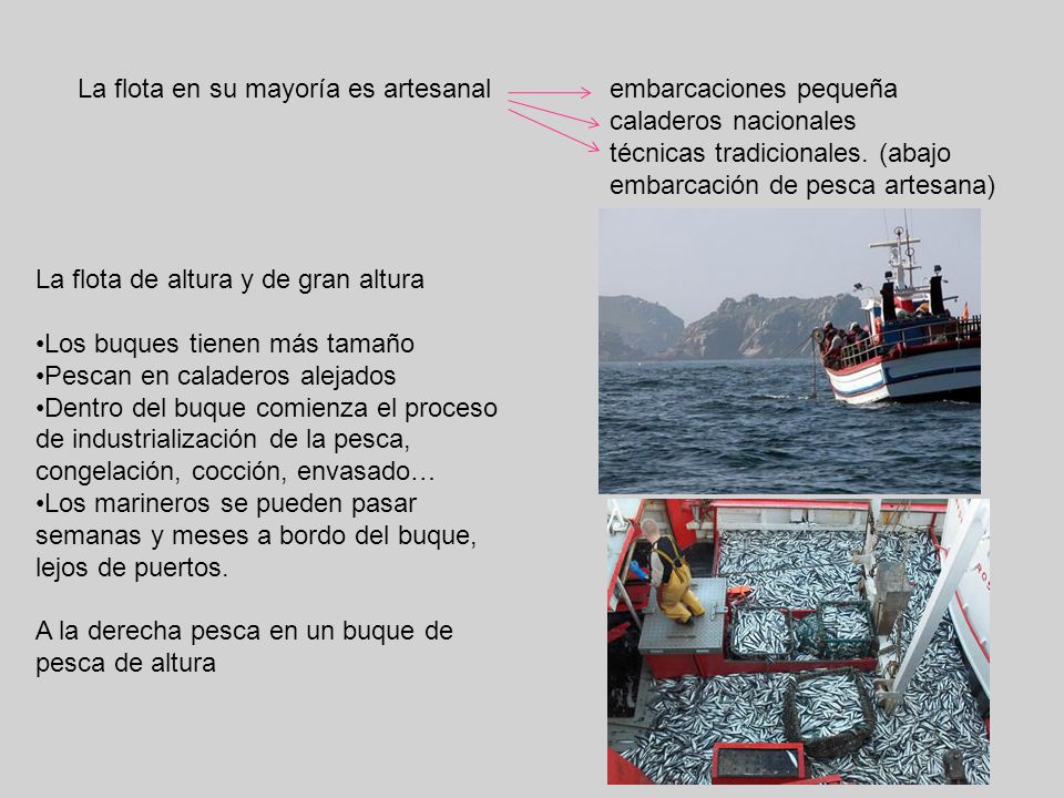 La flota en su mayoría es artesanal embarcaciones pequeña