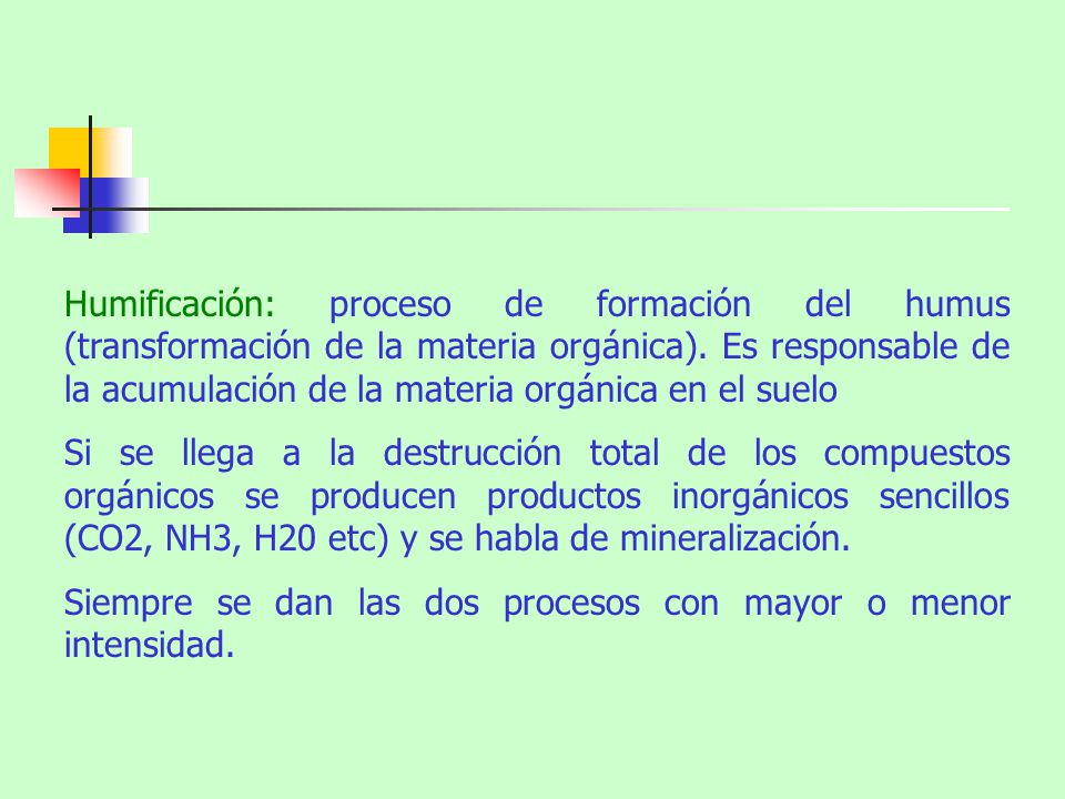 Humificación: proceso de formación del humus (transformación de la materia orgánica). Es responsable de la acumulación de la materia orgánica en el suelo