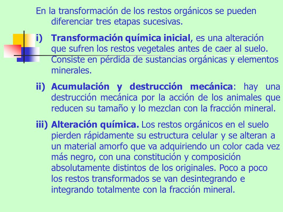 En la transformación de los restos orgánicos se pueden diferenciar tres etapas sucesivas.