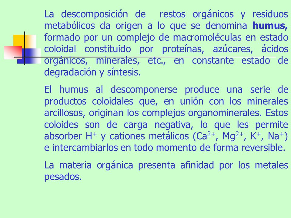 La descomposición de restos orgánicos y residuos metabólicos da origen a lo que se denomina humus, formado por un complejo de macromoléculas en estado coloidal constituido por proteínas, azúcares, ácidos orgánicos, minerales, etc., en constante estado de degradación y síntesis.