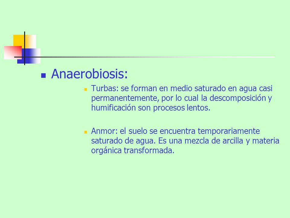 Anaerobiosis: Turbas: se forman en medio saturado en agua casi permanentemente, por lo cual la descomposición y humificación son procesos lentos.