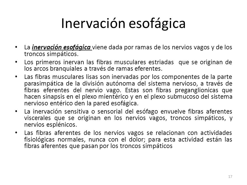 Inervación esofágica La inervación esofágica viene dada por ramas de los nervios vagos y de los troncos simpáticos.