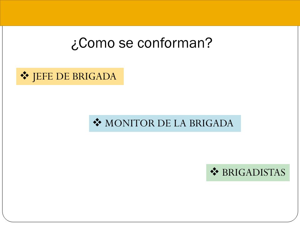 ¿Como se conforman JEFE DE BRIGADA MONITOR DE LA BRIGADA BRIGADISTAS