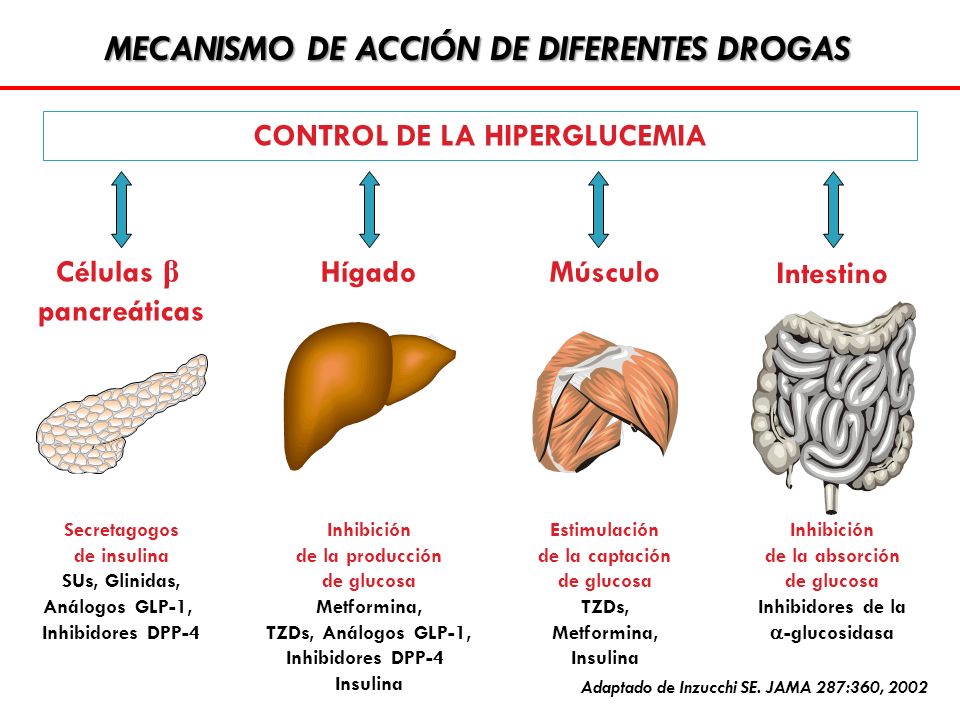 MECANISMO DE ACCIÓN DE DIFERENTES DROGAS CONTROL DE LA HIPERGLUCEMIA