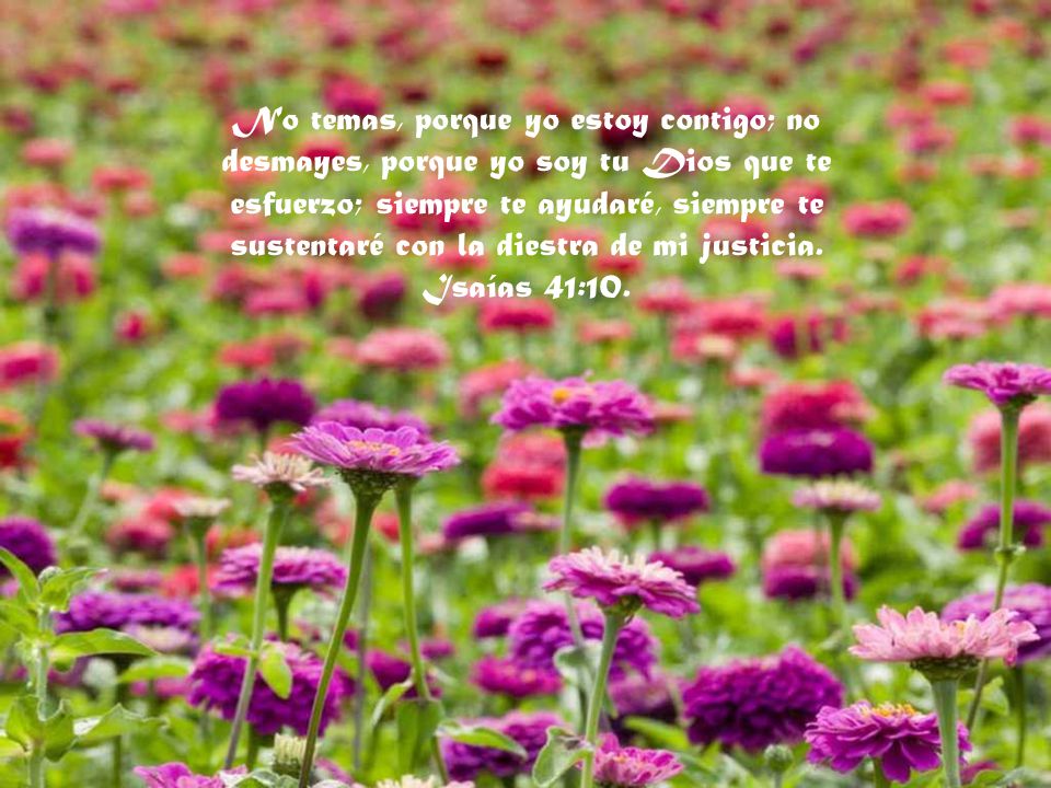 No temas, porque yo estoy contigo; no desmayes, porque yo soy tu Dios que te esfuerzo; siempre te ayudaré, siempre te sustentaré con la diestra de mi justicia.