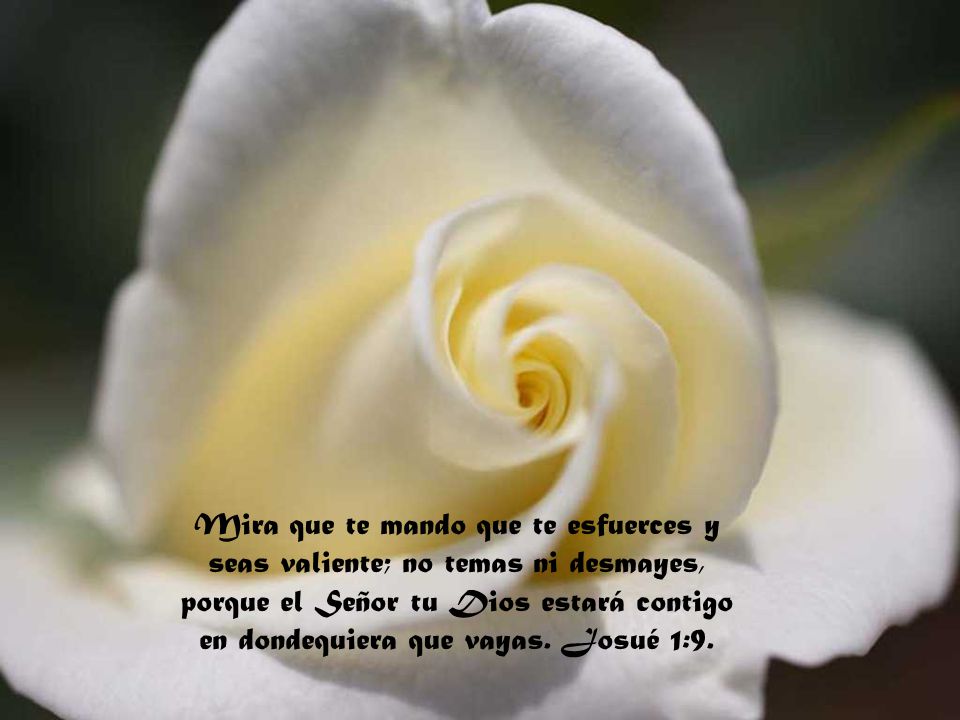 Mira que te mando que te esfuerces y seas valiente; no temas ni desmayes, porque el Señor tu Dios estará contigo en dondequiera que vayas.