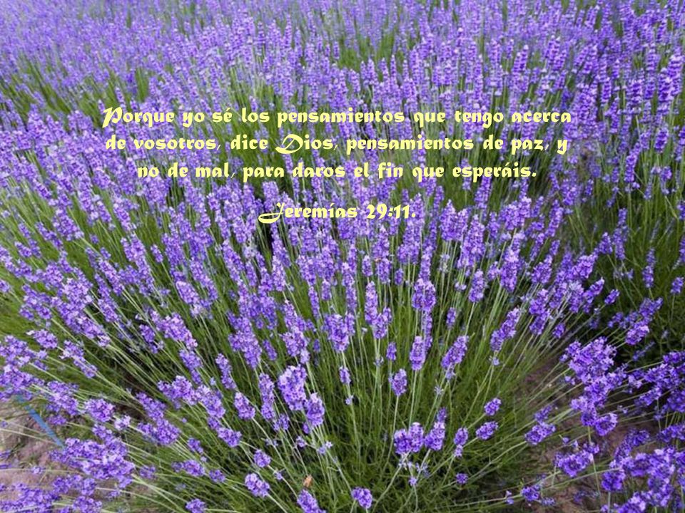 Porque yo sé los pensamientos que tengo acerca de vosotros, dice Dios, pensamientos de paz, y no de mal, para daros el fin que esperáis.