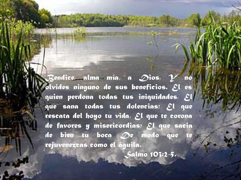 Bendice, alma mía, a Dios, Y no olvides ninguno de sus beneficios