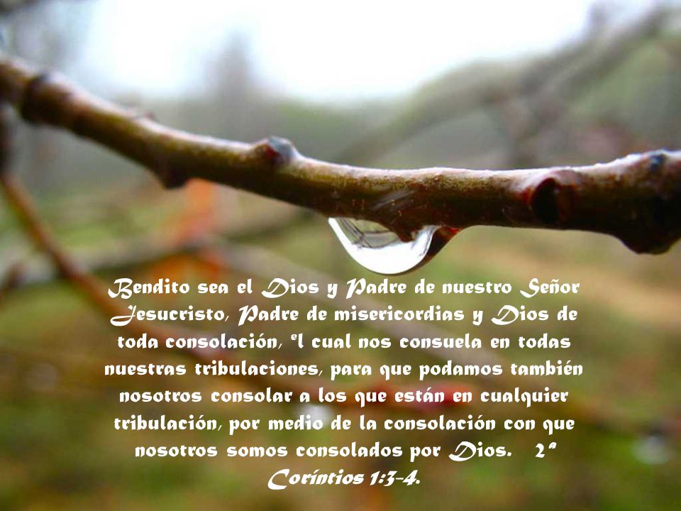 Bendito sea el Dios y Padre de nuestro Señor Jesucristo, Padre de misericordias y Dios de toda consolación, el cual nos consuela en todas nuestras tribulaciones, para que podamos también nosotros consolar a los que están en cualquier tribulación, por medio de la consolación con que nosotros somos consolados por Dios.