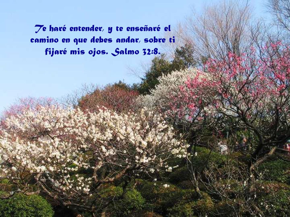 Te haré entender, y te enseñaré el camino en que debes andar, sobre ti fijaré mis ojos. Salmo 32:8.