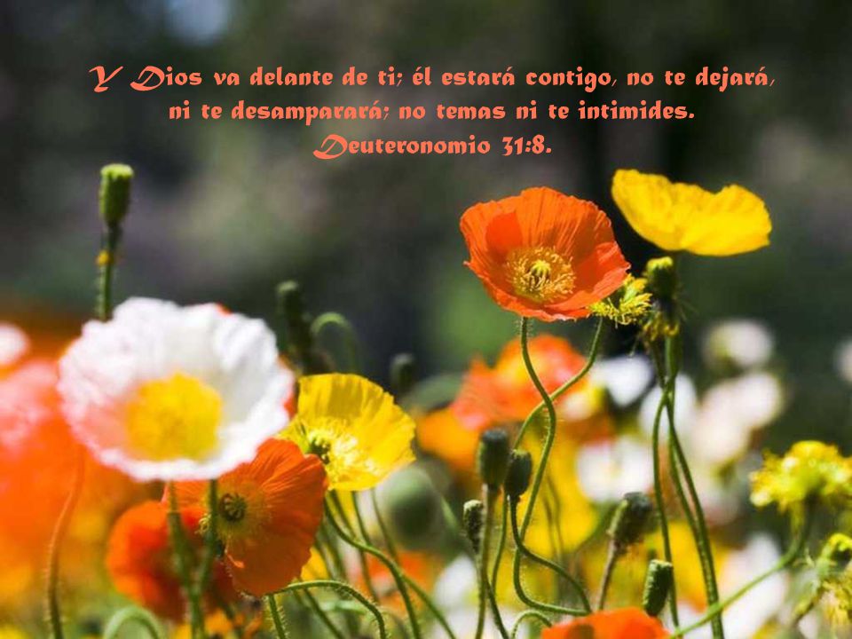Y Dios va delante de ti; él estará contigo, no te dejará, ni te desamparará; no temas ni te intimides.