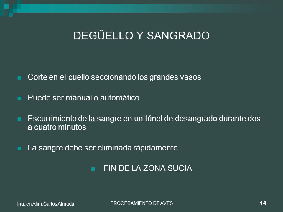 DEGÜELLO Y SANGRADO Corte en el cuello seccionando los grandes vasos