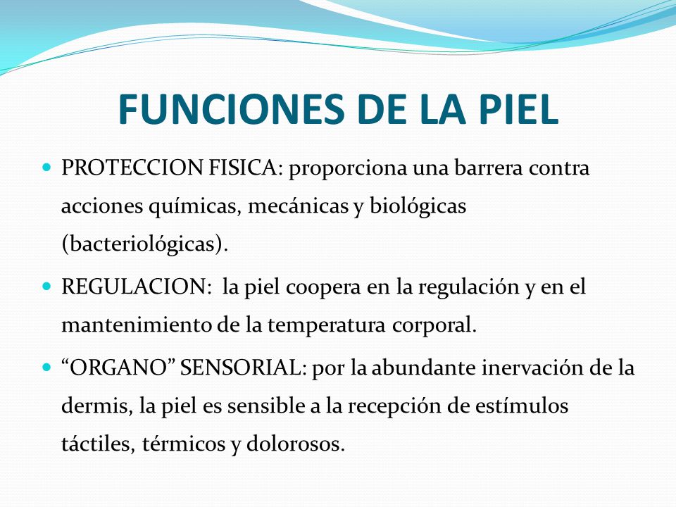 FUNCIONES DE LA PIEL PROTECCION FISICA: proporciona una barrera contra acciones químicas, mecánicas y biológicas (bacteriológicas).