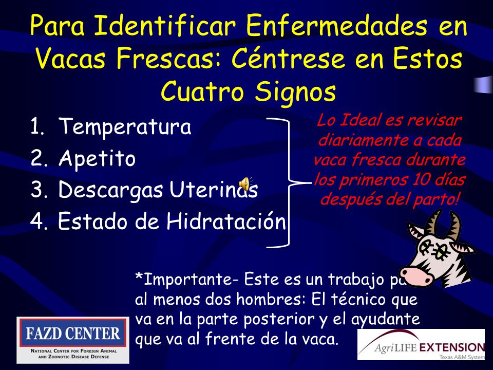 Para Identificar Enfermedades en Vacas Frescas: Céntrese en Estos Cuatro Signos