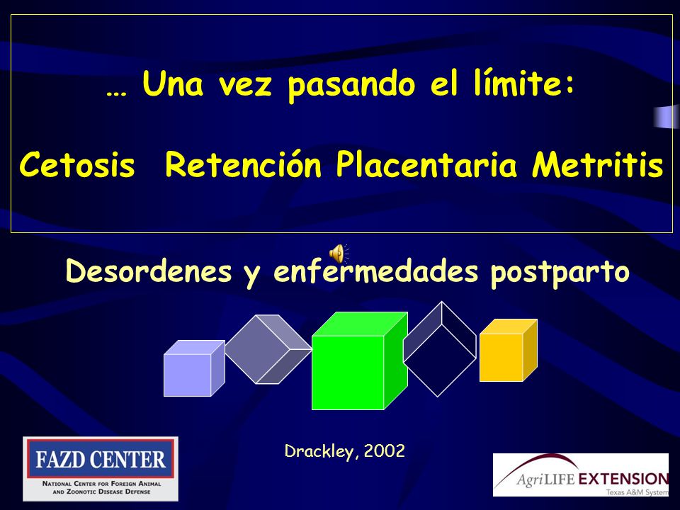 … Una vez pasando el límite: Cetosis Retención Placentaria Metritis