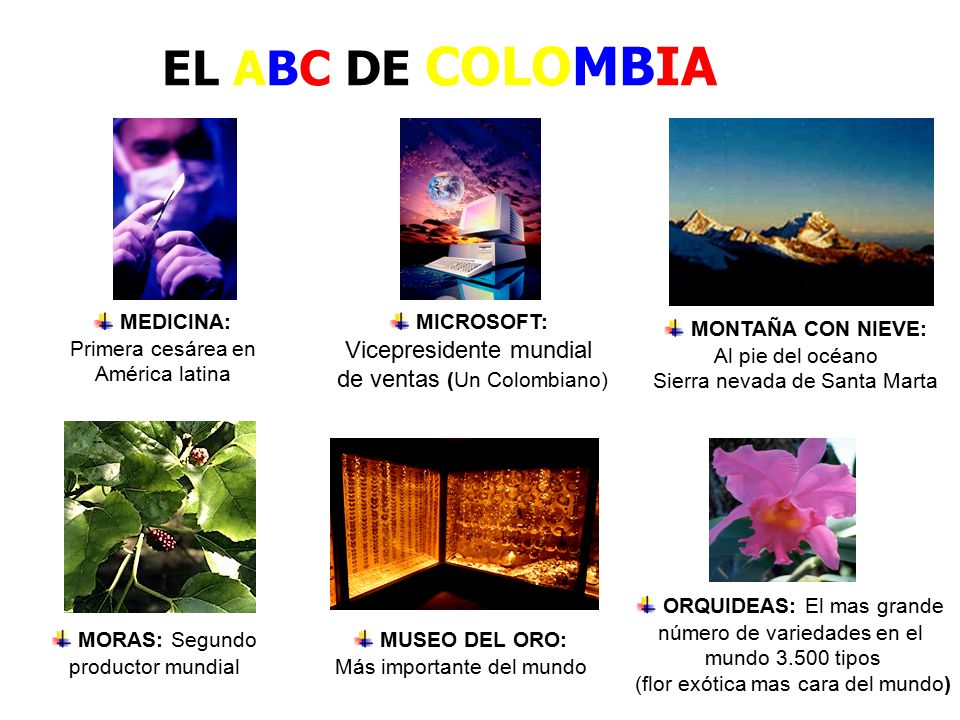 EL ABC DE COLOMBIA MEDICINA: Primera cesárea en América latina