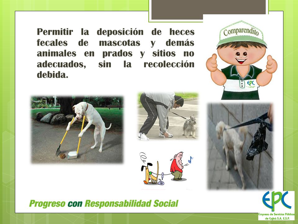 Permitir la deposición de heces fecales de mascotas y demás animales en prados y sitios no adecuados, sin la recolección debida.