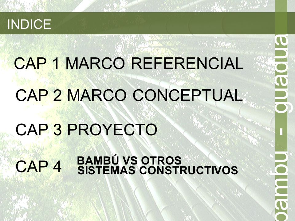 bambú - guadua CAP 1 MARCO REFERENCIAL CAP 2 MARCO CONCEPTUAL