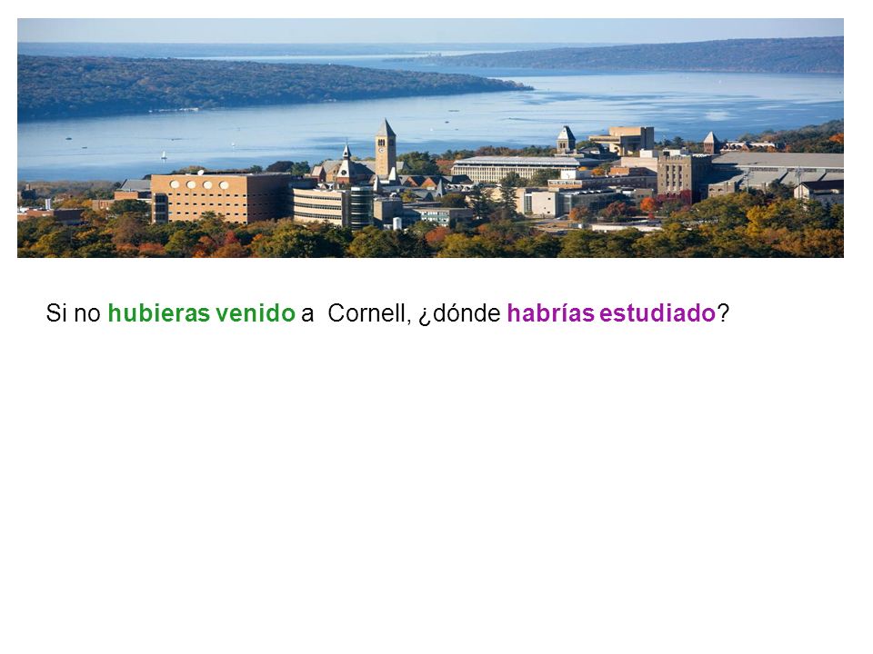 Si no hubieras venido a Cornell, ¿dónde habrías estudiado