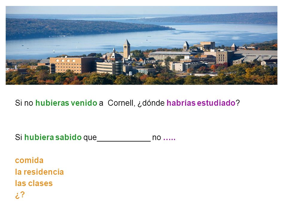 Si no hubieras venido a Cornell, ¿dónde habrías estudiado