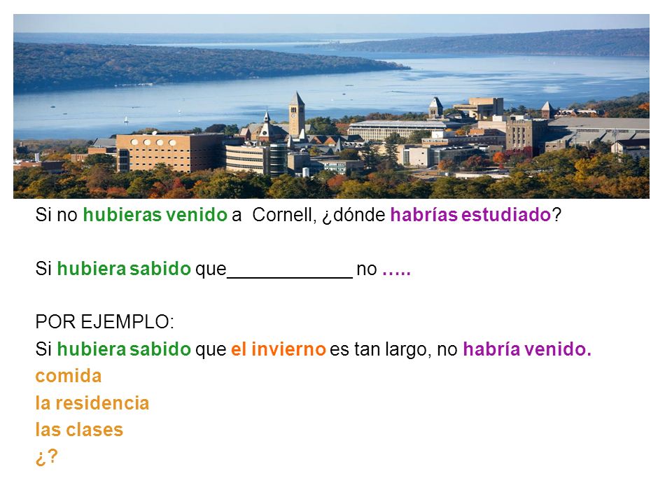 Si no hubieras venido a Cornell, ¿dónde habrías estudiado