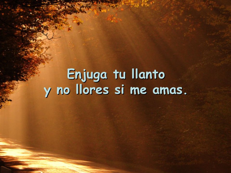 Enjuga tu llanto y no llores si me amas.