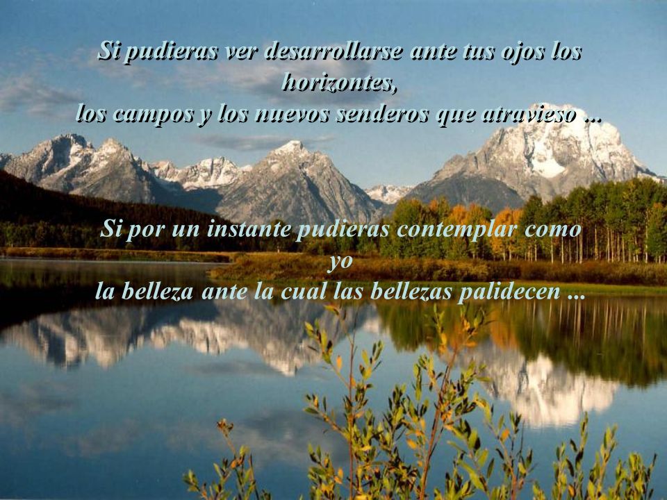 Si pudieras ver desarrollarse ante tus ojos los horizontes,