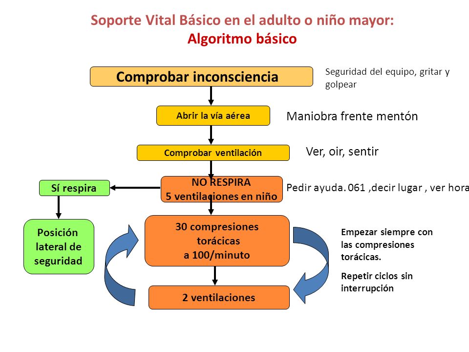 Soporte Vital Básico en el adulto o niño mayor: Algoritmo básico