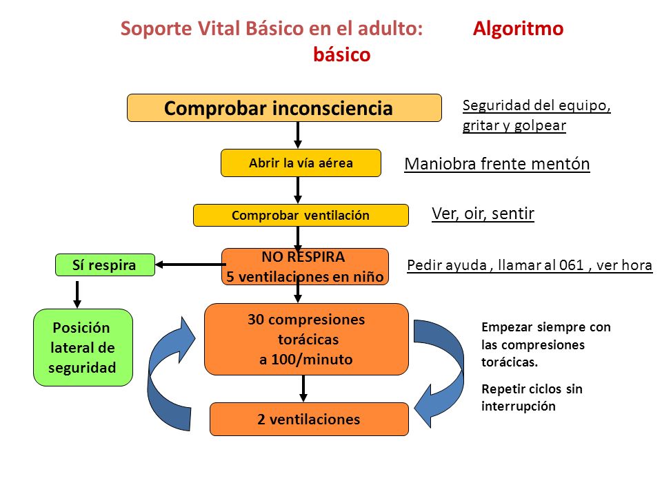 Soporte Vital Básico en el adulto: Algoritmo básico