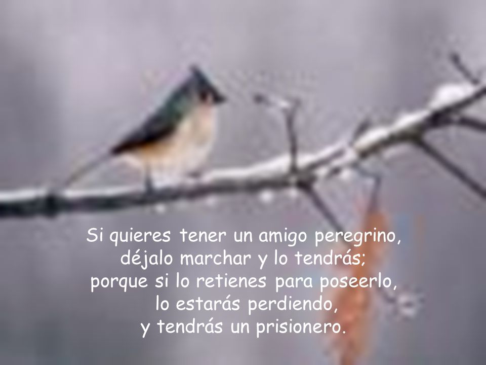 Si quieres tener un amigo peregrino, déjalo marchar y lo tendrás; porque si lo retienes para poseerlo, lo estarás perdiendo, y tendrás un prisionero.
