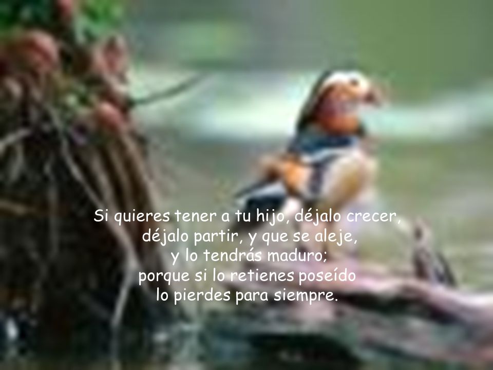 Si quieres tener a tu hijo, déjalo crecer, déjalo partir, y que se aleje, y lo tendrás maduro; porque si lo retienes poseído lo pierdes para siempre.