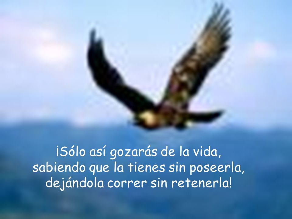 ¡Sólo así gozarás de la vida, sabiendo que la tienes sin poseerla, dejándola correr sin retenerla!