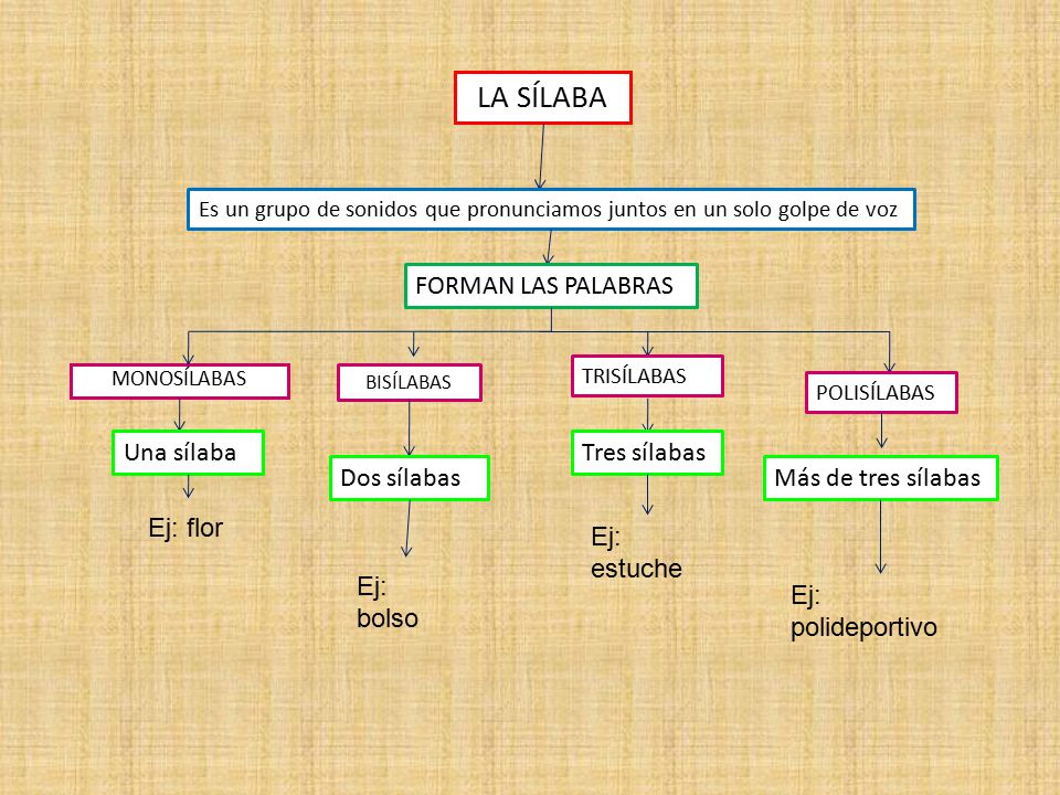 LA SÍLABA FORMAN LAS PALABRAS Una sílaba Tres sílabas Dos sílabas