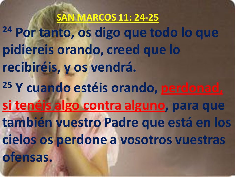 SAN MARCOS 11: Por tanto, os digo que todo lo que pidiereis orando, creed que lo recibiréis, y os vendrá.