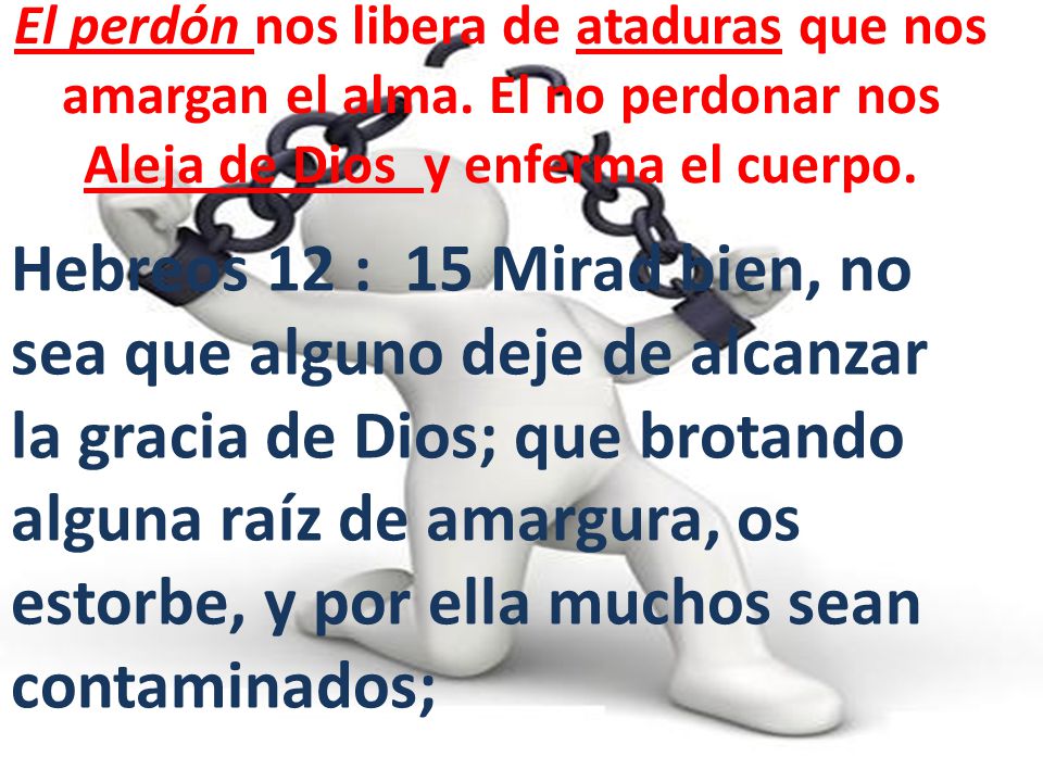 El perdón nos libera de ataduras que nos amargan el alma