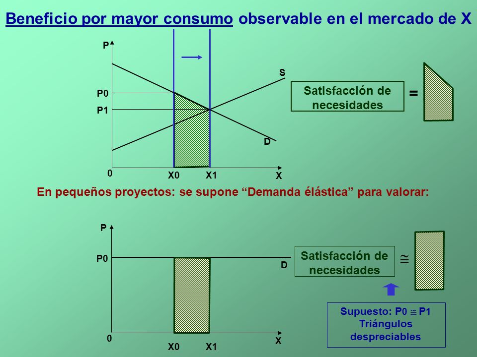 Beneficio por mayor consumo observable en el mercado de X =