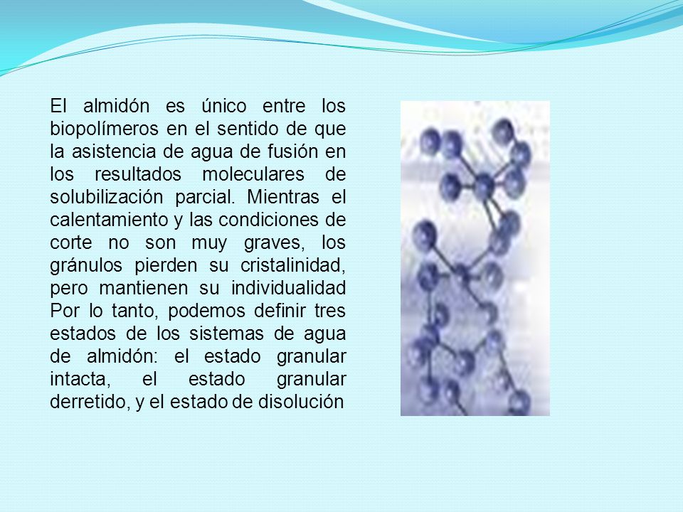 El almidón es único entre los biopolímeros en el sentido de que la asistencia de agua de fusión en los resultados moleculares de solubilización parcial.