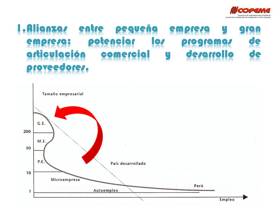 Alianzas entre pequeña empresa y gran empresa: potenciar los programas de articulación comercial y desarrollo de proveedores.