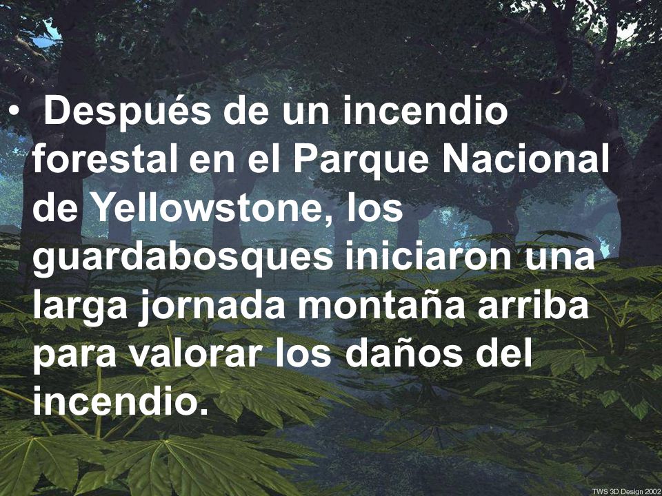 Después de un incendio forestal en el Parque Nacional de Yellowstone, los guardabosques iniciaron una larga jornada montaña arriba para valorar los daños del incendio.
