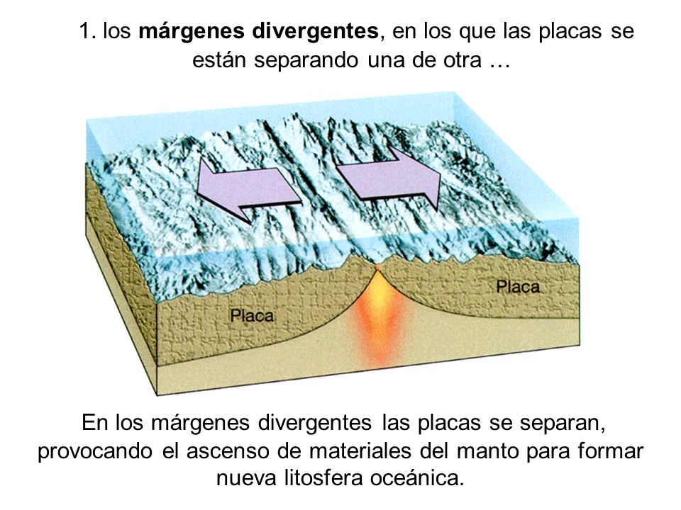 1. los márgenes divergentes, en los que las placas se están separando una de otra …