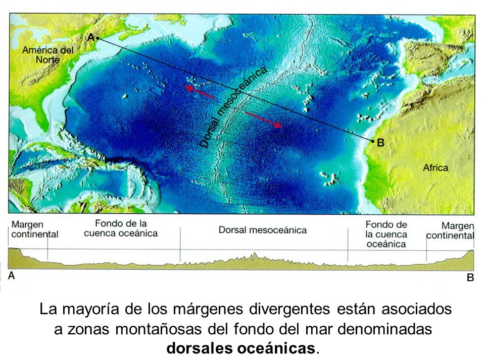 La mayoría de los márgenes divergentes están asociados a zonas montañosas del fondo del mar denominadas dorsales oceánicas.